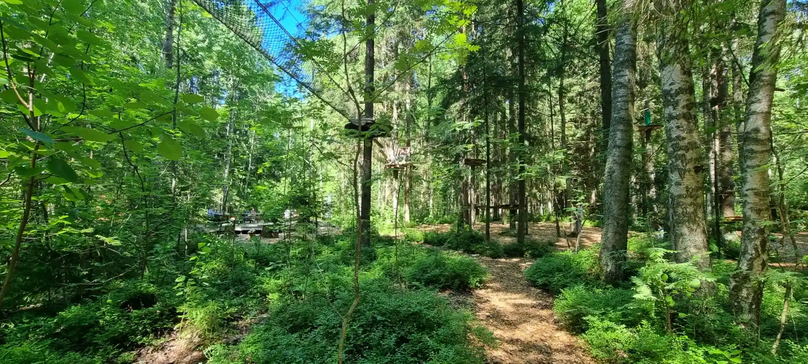 Ухоженные дорожки, отсыпанные корой, в Секвойя парке